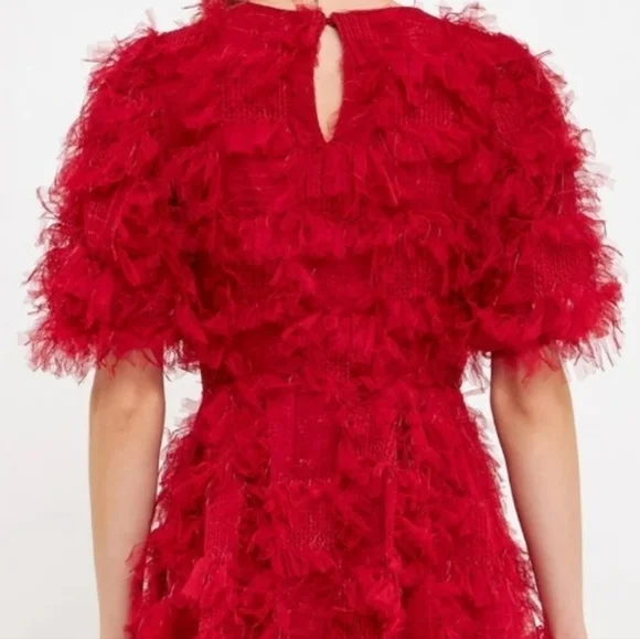 Endless Rose Texture Mesh  Overlay Mini Dress - Picture 3 of 17